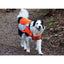 RC High Visibility Rufflective Vest  Safety Vests  | PetMax Canada