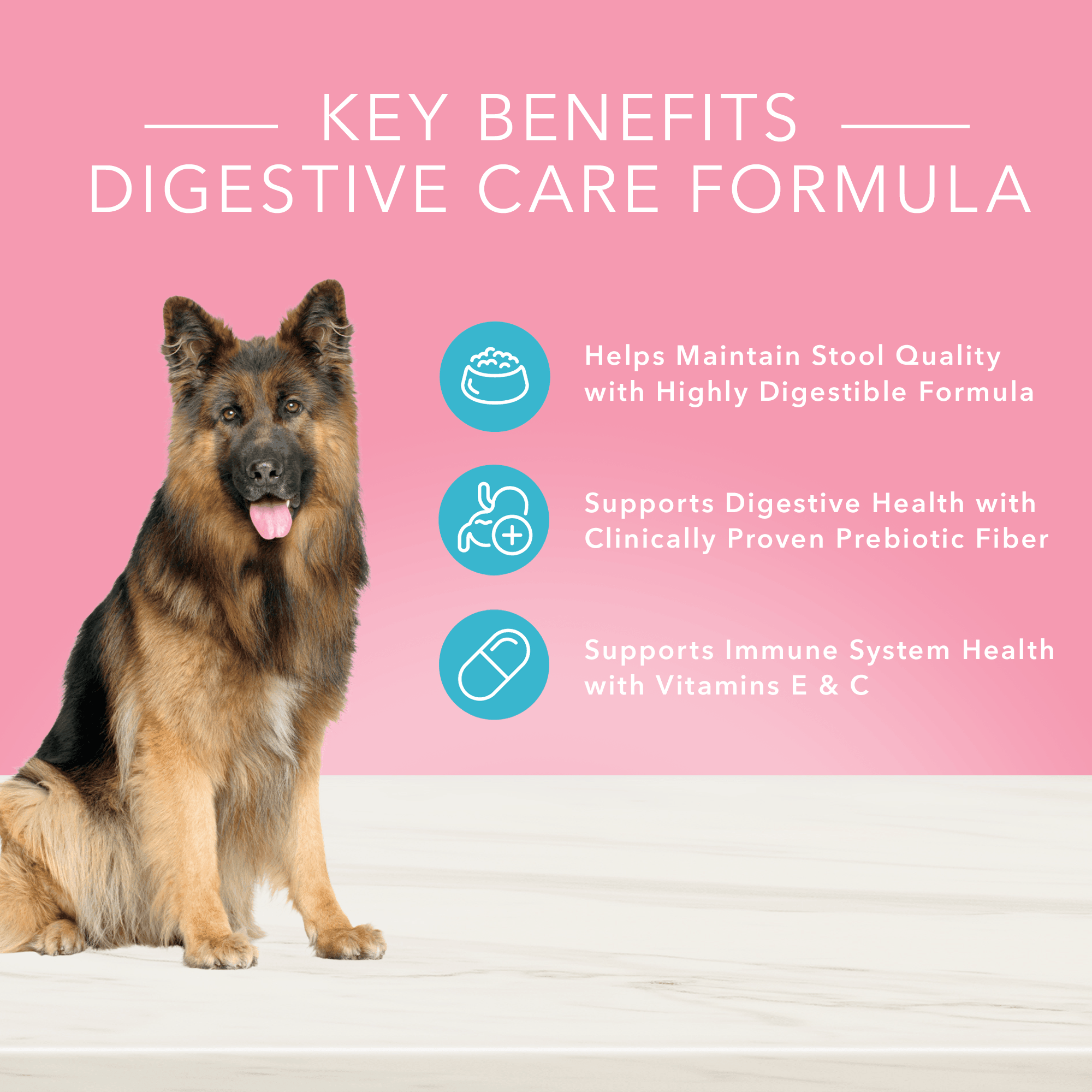 Blue True Solutions Canned Dog Food Digestive Care - 354g - Canned Dog Food - Blue Buffalo - PetMax Canada