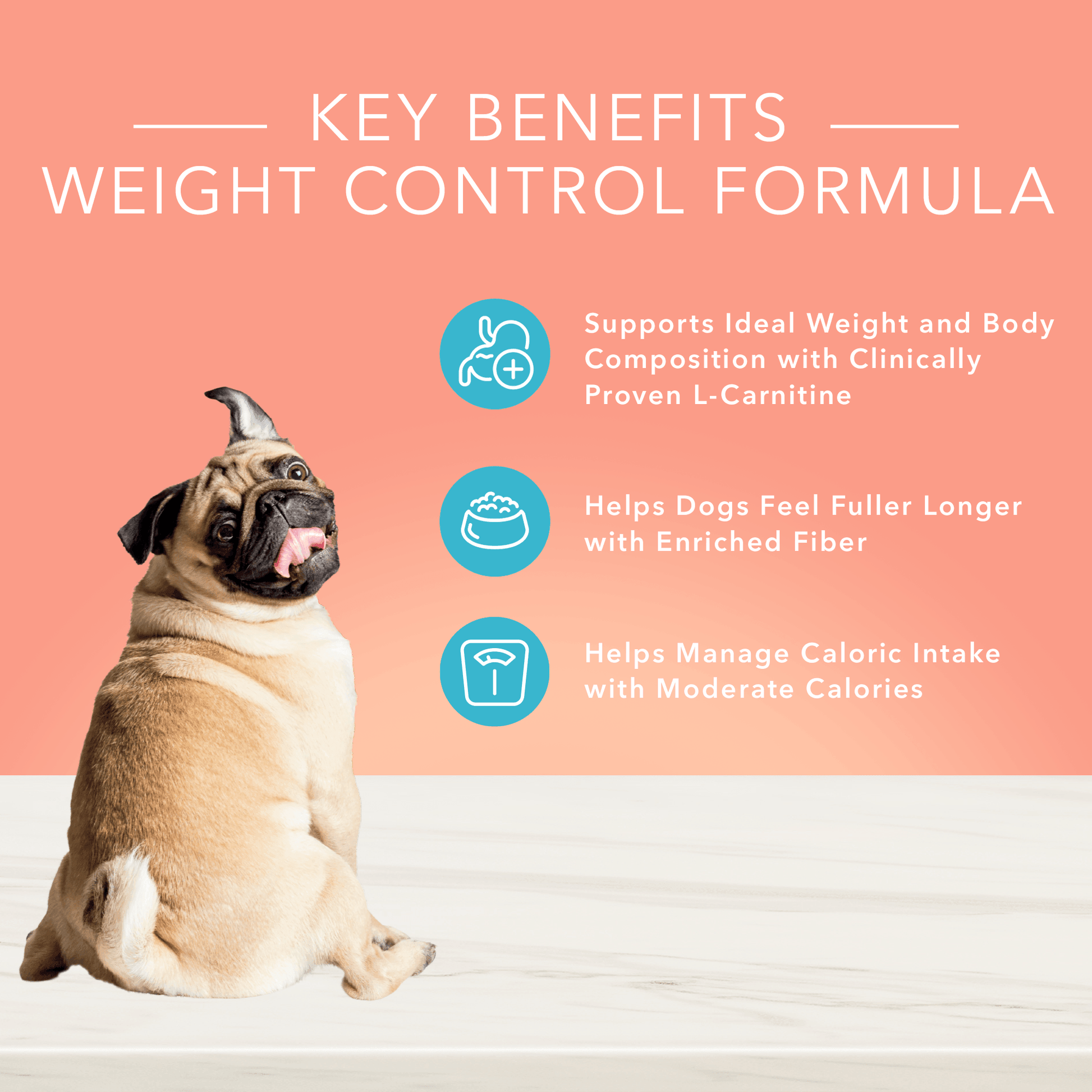 Buy Blue True Solutions Canned Dog Food Weight Care Online In