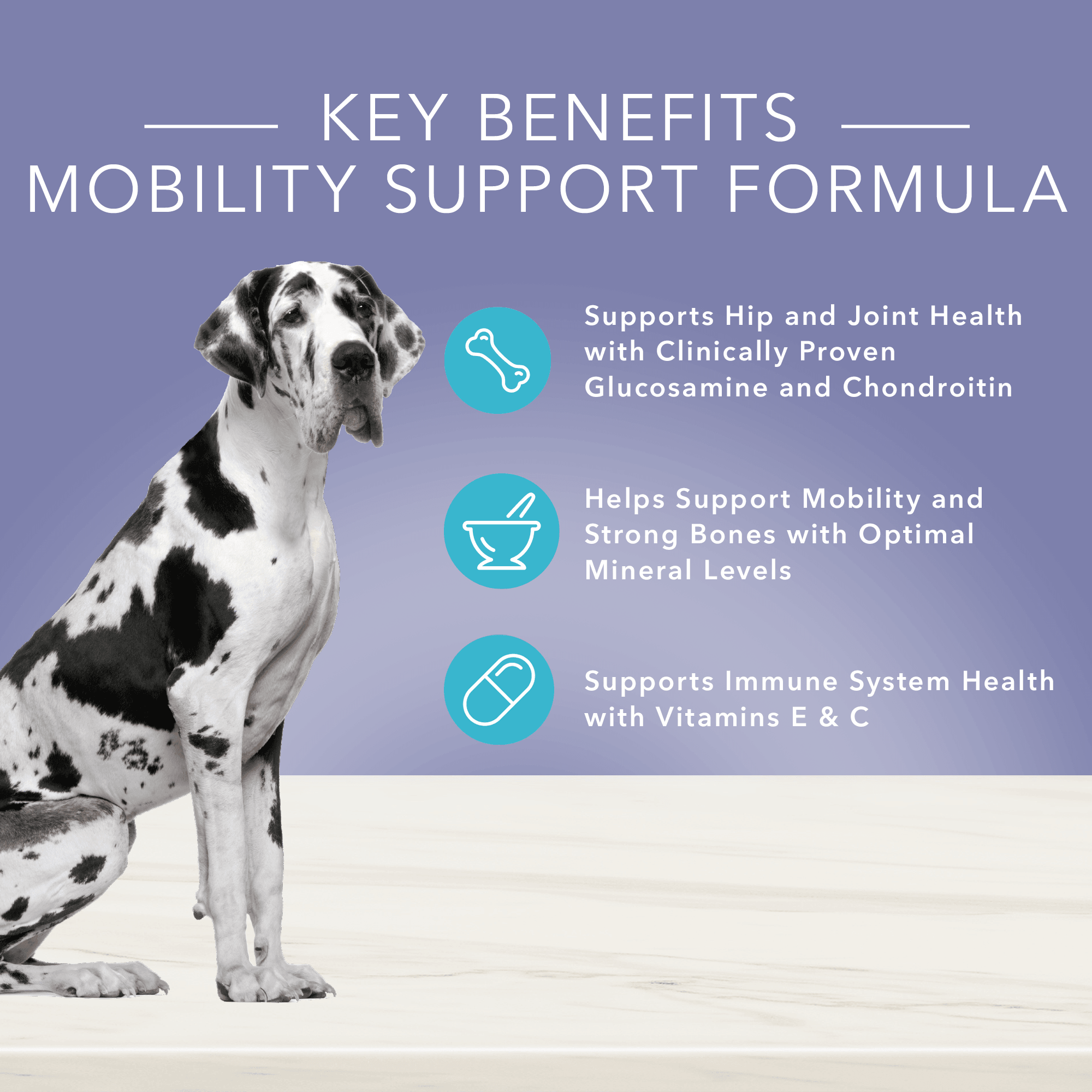 Blue True Solutions Canned Dog Food Mobility Care - 354g - Canned Dog Food - Blue Buffalo - PetMax Canada
