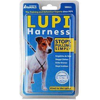 Lupi Harness  Harnesses  | PetMax Canada