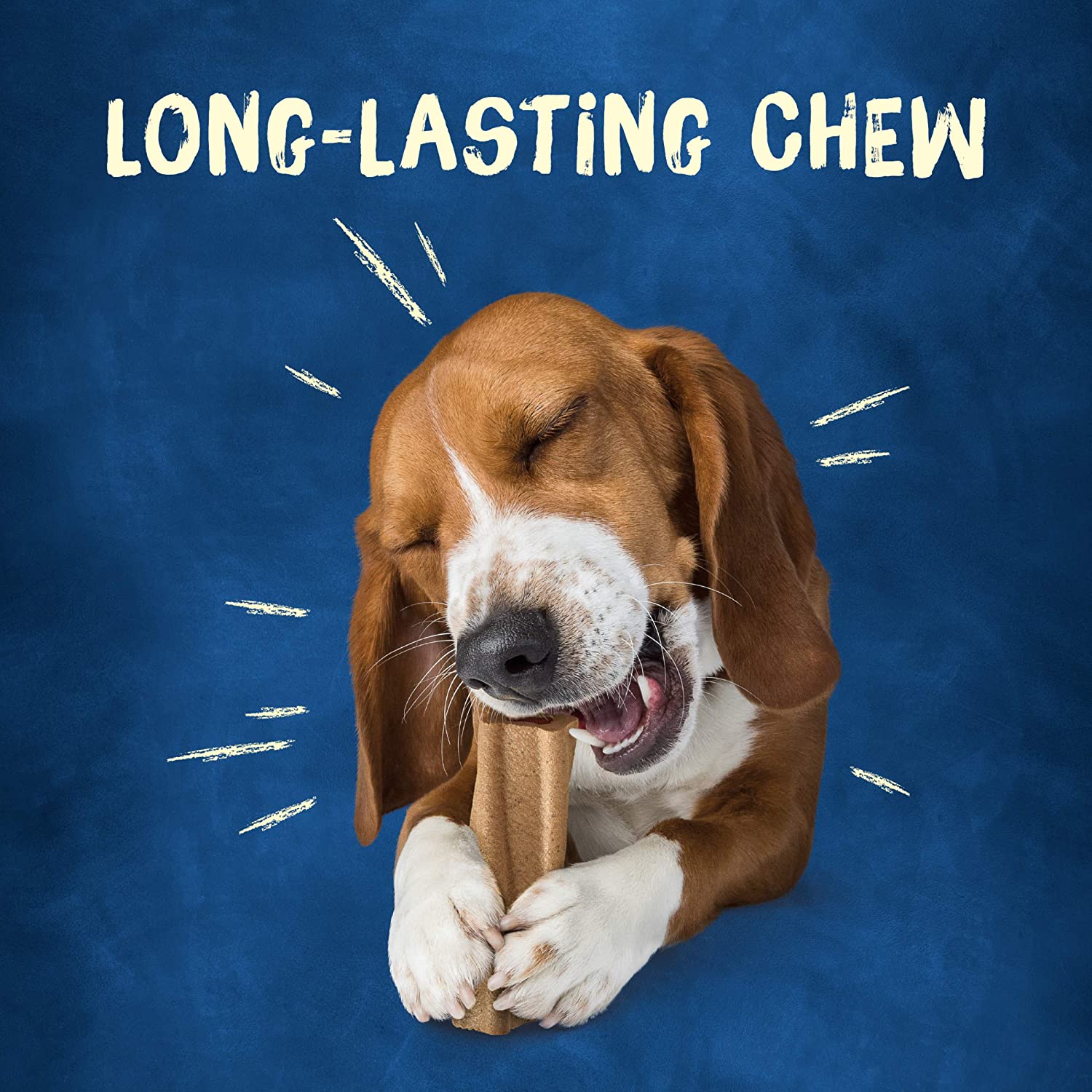 Purina Busy Bone Medium  Dog Treats  | PetMax Canada