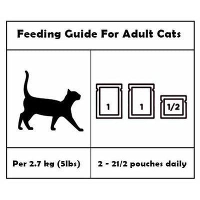 Snappy Tom Wet Cat Food Natural Pouches Ocean Fish Salmon - 100g - Canned Cat Food - Snappy Tom - PetMax Canada