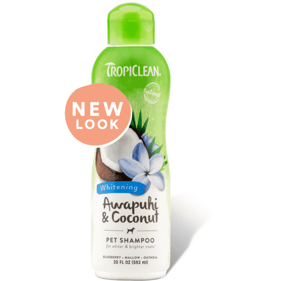 Tropiclean Awapuhi & Coconut Shampoo  Grooming  | PetMax Canada