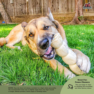 Red Barn Naturals Beef Cheek Roll Dog Treat - Small/Medium - Natural Chews - Red Barn Pet Products - PetMax Canada