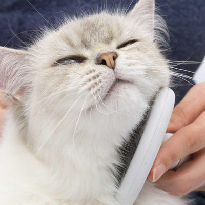 Catit Grooming Kit Long Hair - Long Hair - Cat Grooming - Catit - PetMax Canada