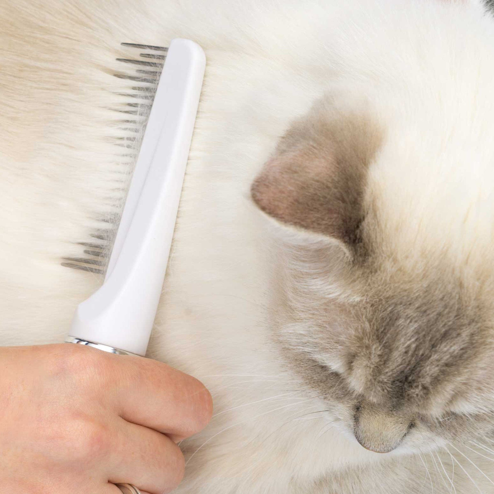 Catit Grooming Kit Long Hair  Cat Grooming  | PetMax Canada