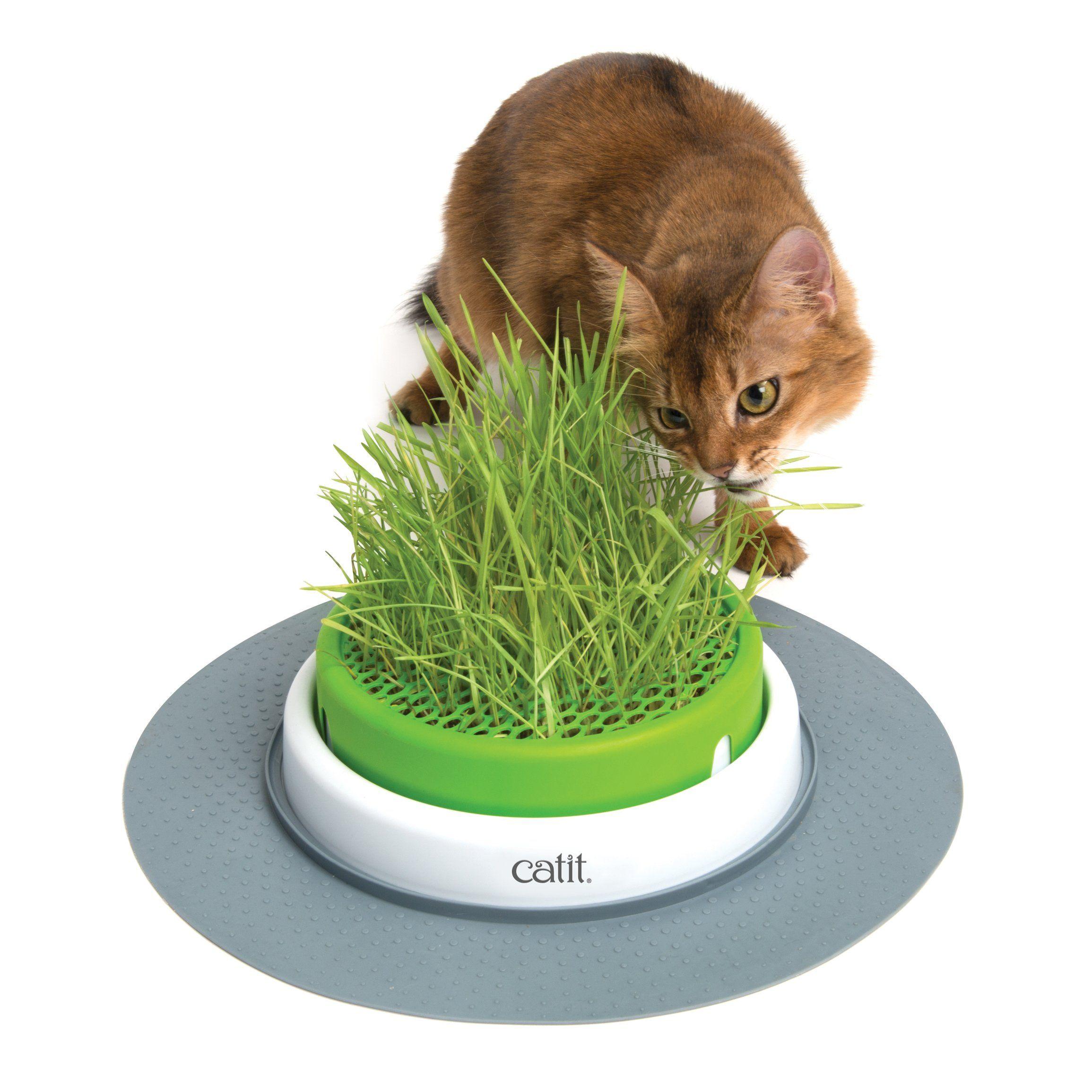 Catit Senses 2.0 Grass Planter - Grass Planter - Cat Toys - Catit - PetMax Canada