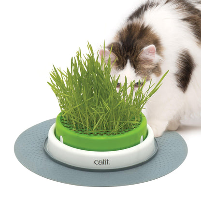 Catit Senses 2.0 Grass Planter - Grass Planter - Cat Toys - Catit - PetMax Canada