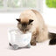 Catit Pixi Fountain White With Stainless Steel - White With Stainless Steel - Cat Fountain - Catit - PetMax Canada