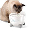 Catit Pixi Fountain White With Stainless Steel - White With Stainless Steel - Cat Fountain - Catit - PetMax Canada