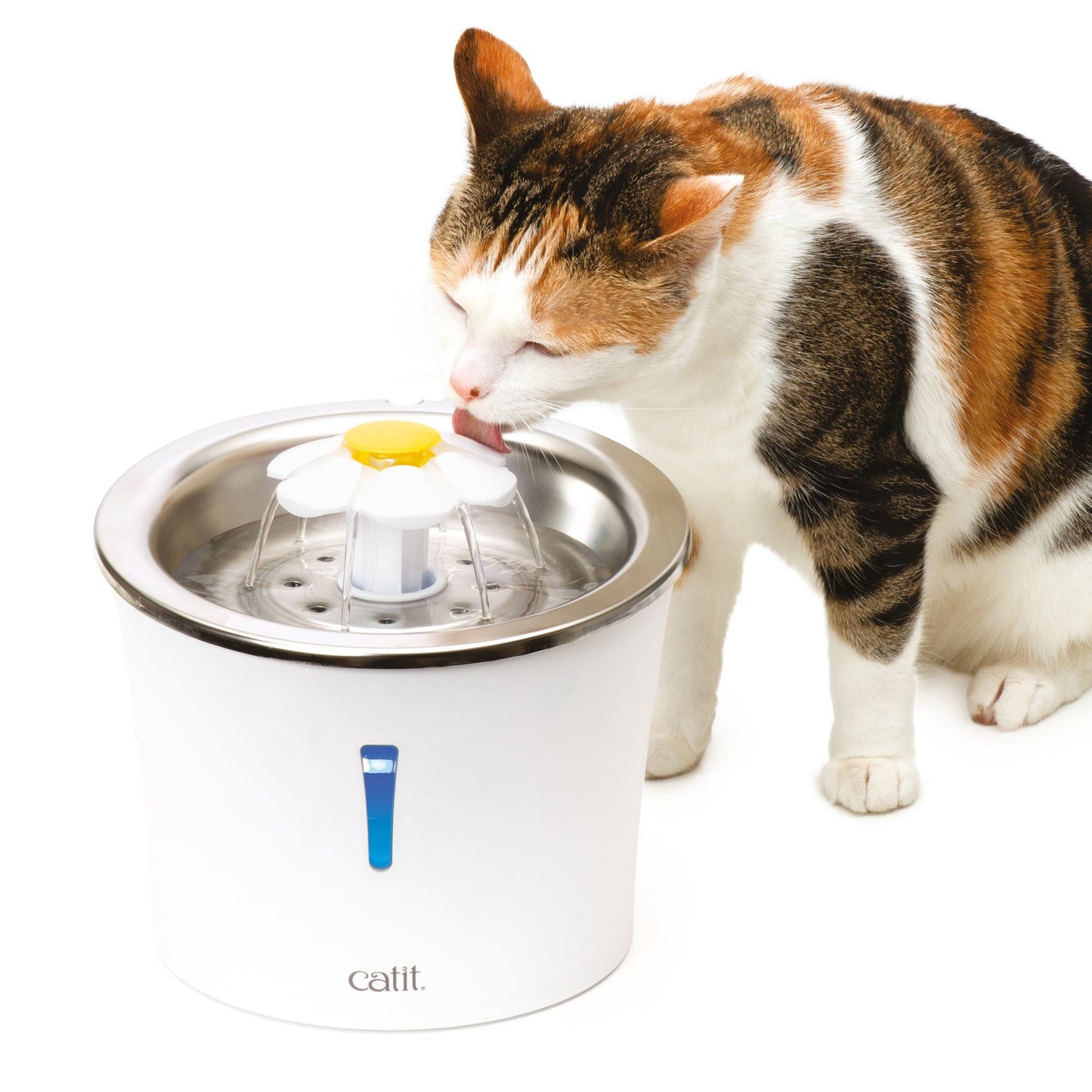 Catit Stainless Steel Flower Fountain  Cat Dishes  | PetMax Canada