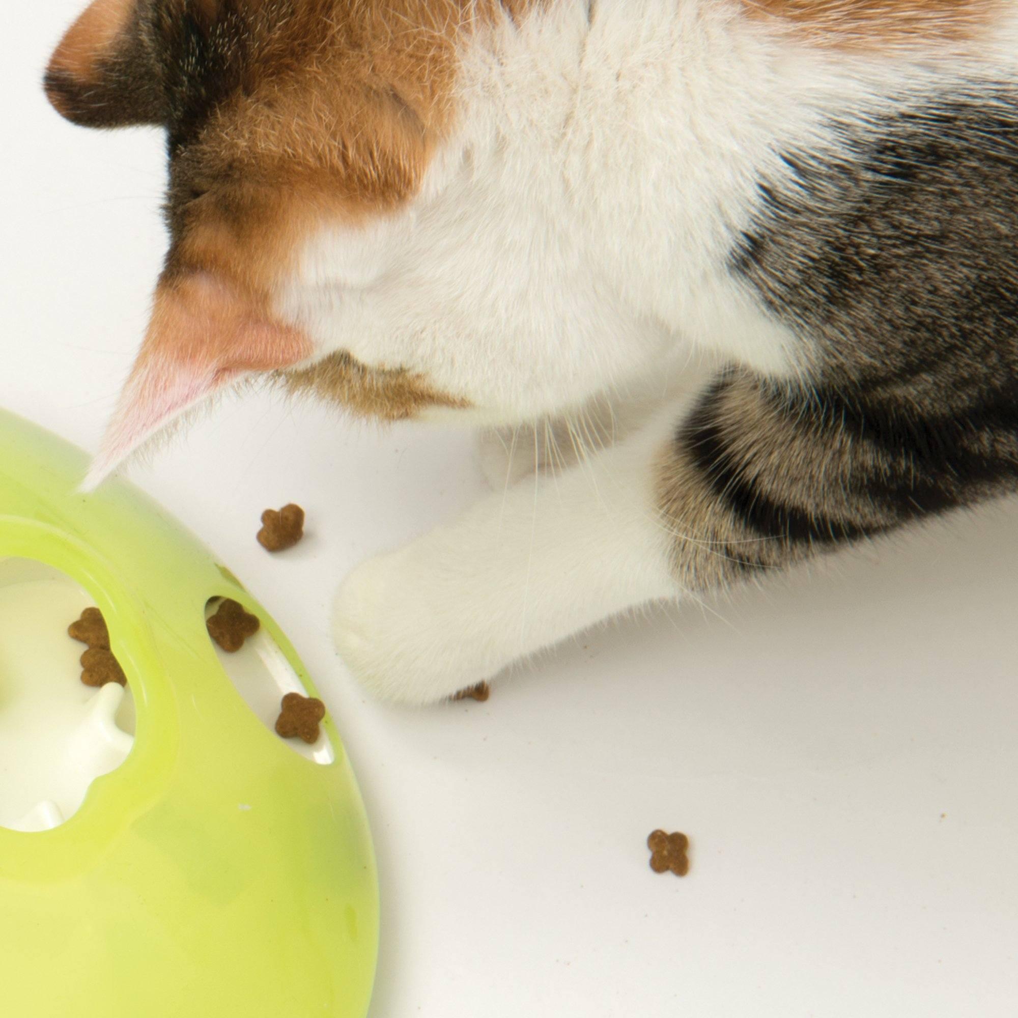 Catit 2.0 Play Treat Spinner - Treat Spinner - Cat Toys - Catit - PetMax Canada