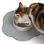 Catit 2.0 Play Flower Placement  Cat Dishes  | PetMax Canada