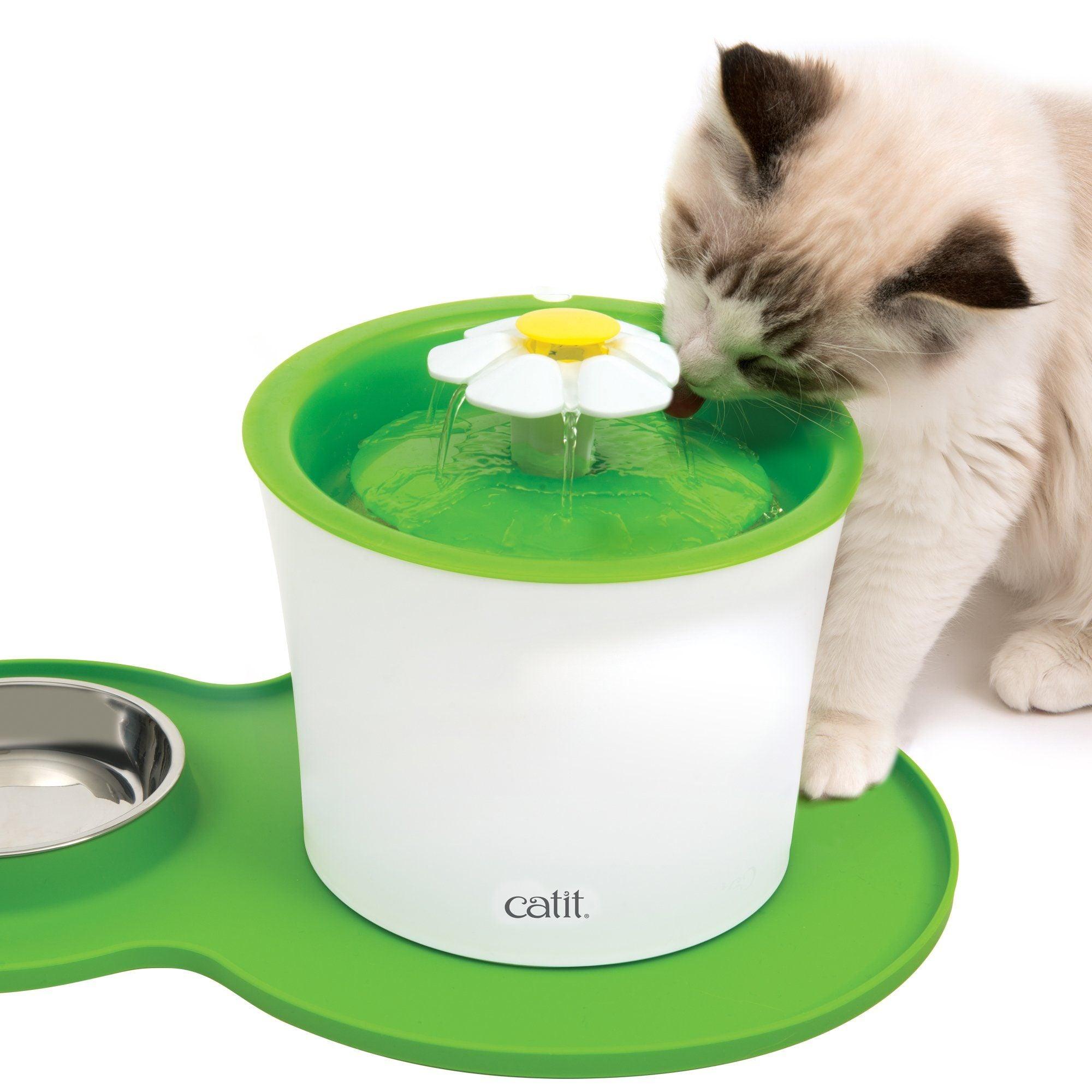 Catit 2.0 Play Peanut Placement - Green - Cat Dishes - Catit - PetMax Canada