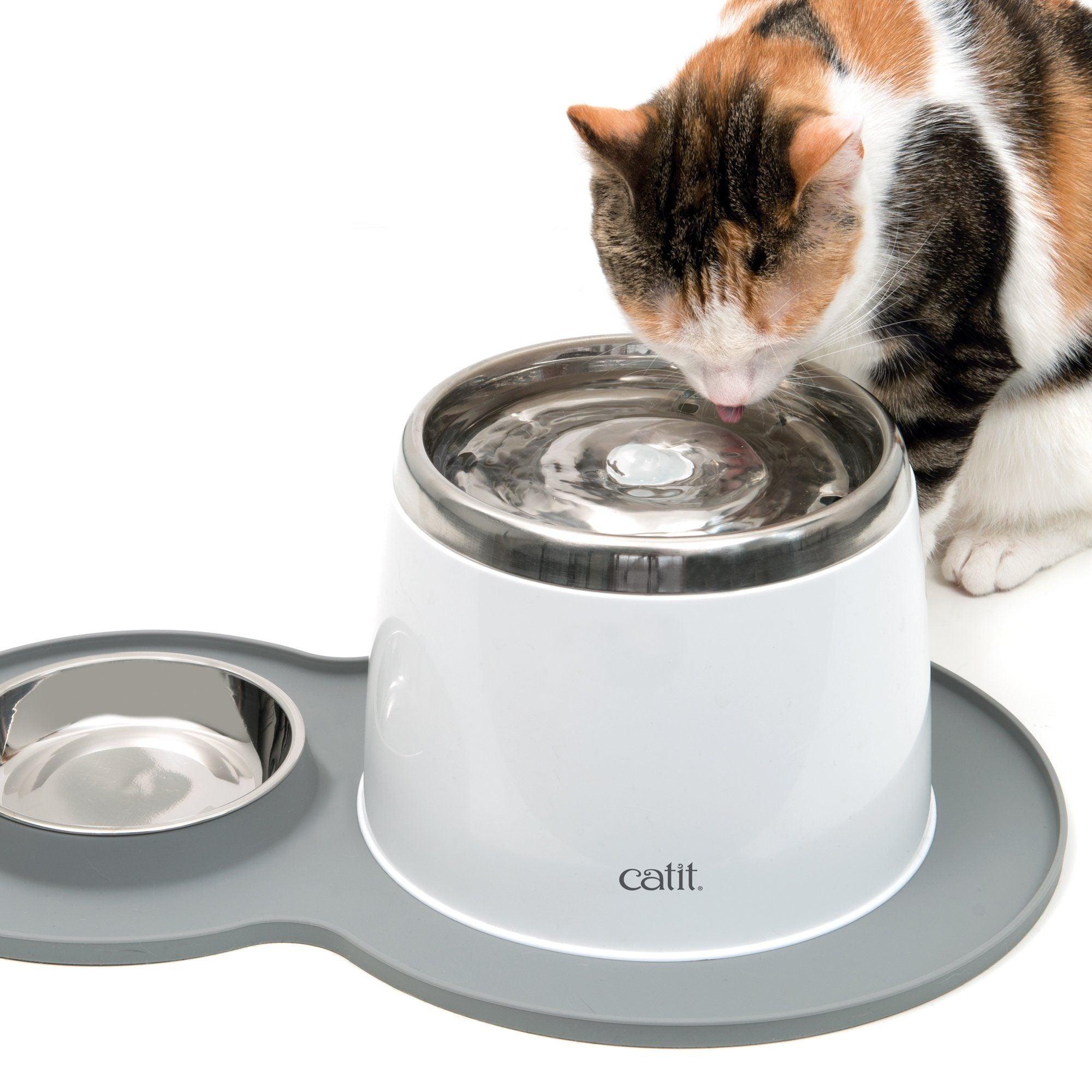 Catit 2.0 Play Peanut Placement - Green - Cat Dishes - Catit - PetMax Canada