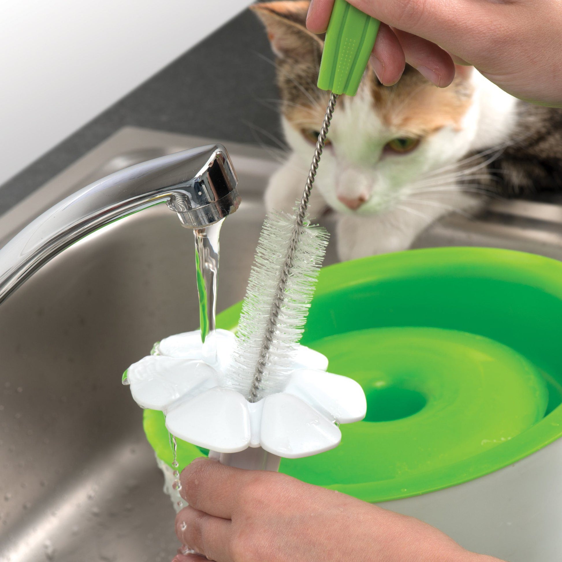Catit 2.0 Fountain Cleaning Set  Cat Dishes  | PetMax Canada