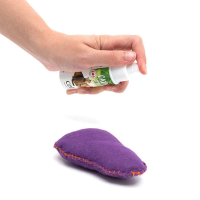 Catit 2.0 Catnip Spray - 60mL - Cat Treats - Catit - PetMax Canada