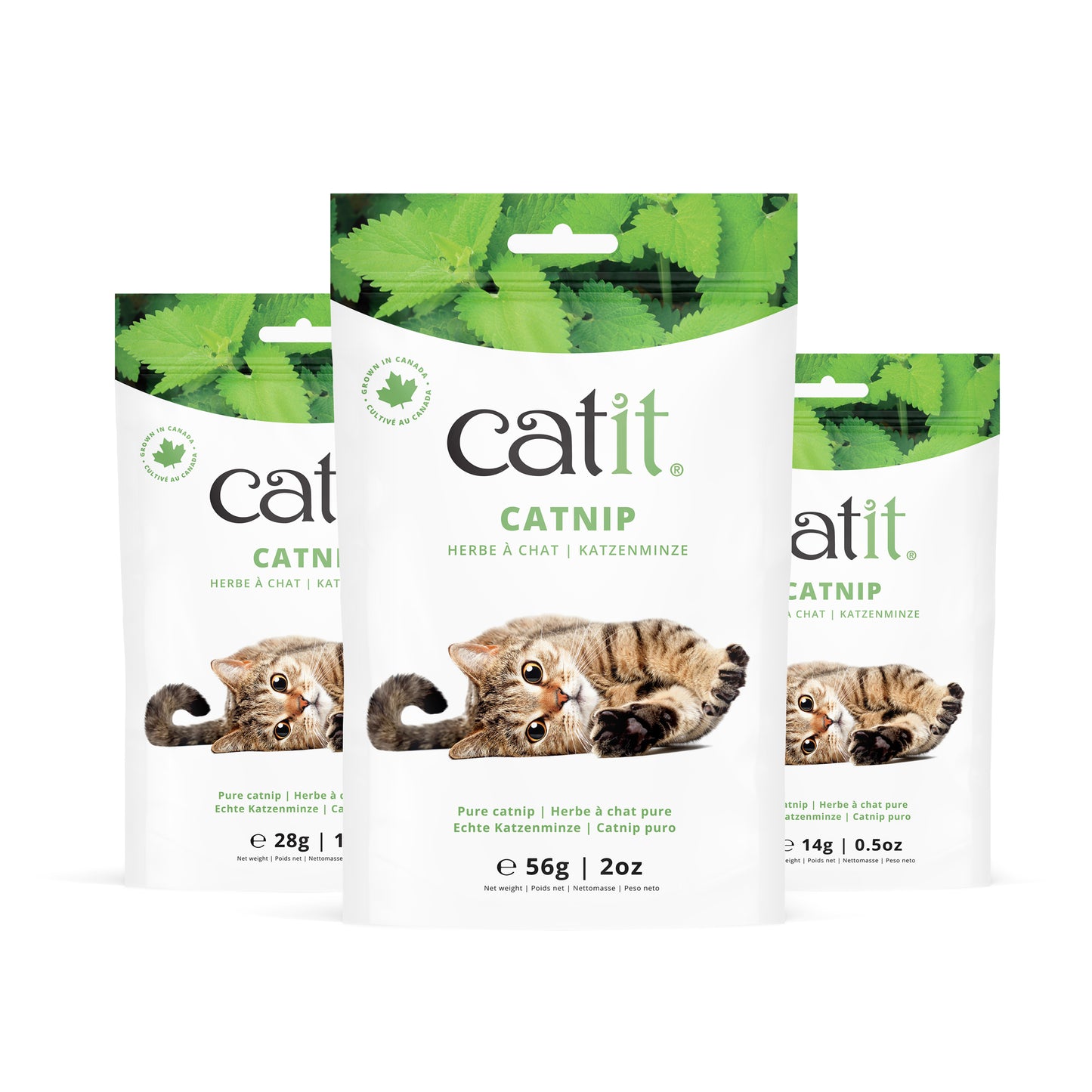 Catit Catnip Bag  Cat Treats  | PetMax Canada