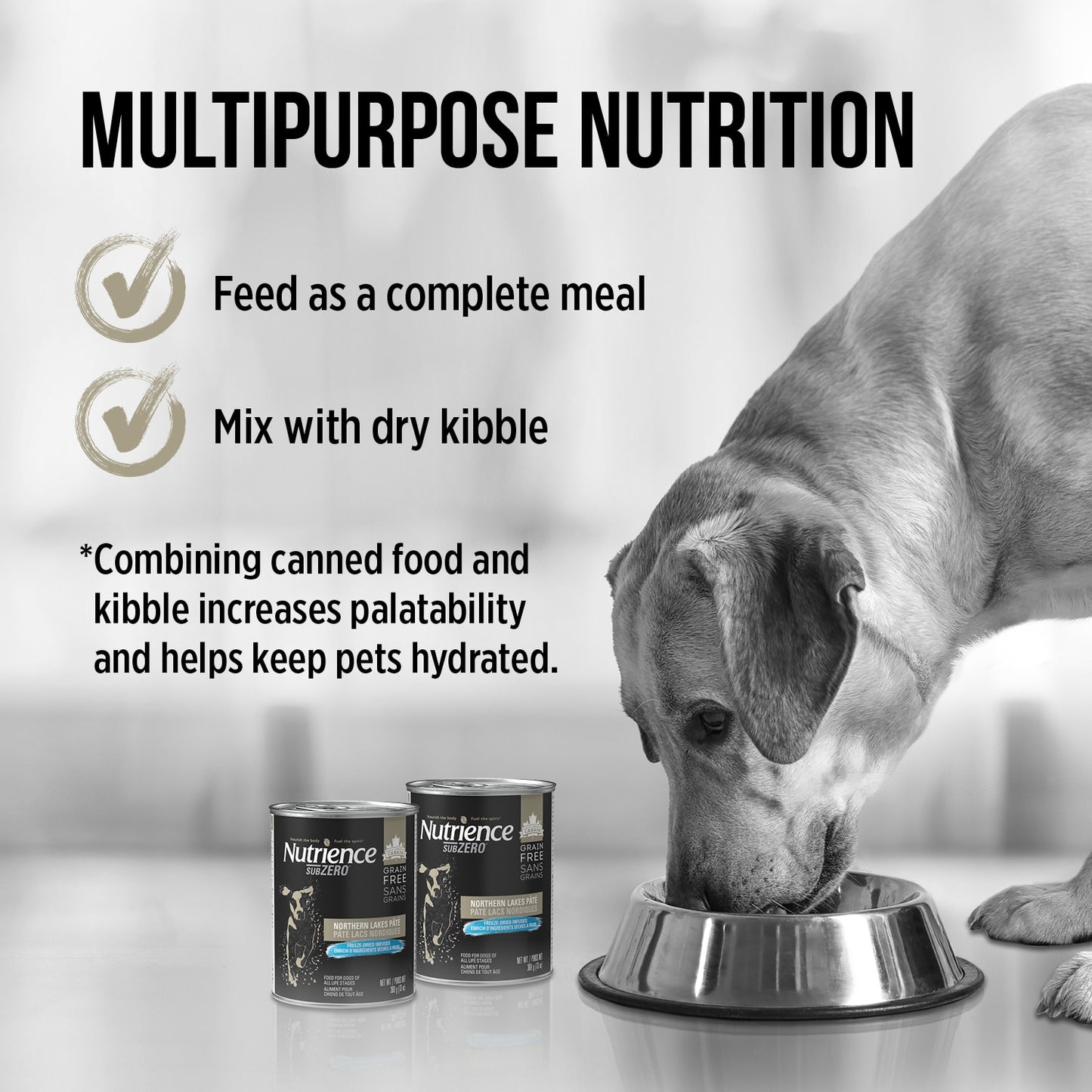 Nutrience Canned Adult Dog Food Grain Free Northern Lakes  Canned Dog Food  | PetMax Canada
