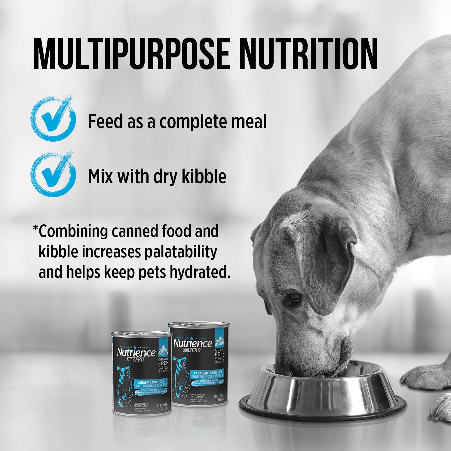 Nutrience Canned Dog Food Grain Free SubZero Canadian Pacific  Canned Dog Food  | PetMax Canada