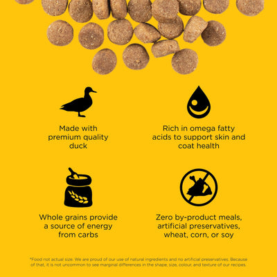 GO! SKIN + COAT CARE Duck Recipe With Grains for dogs - 10 Kg - Dog Food - Go! - PetMax Canada