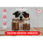 FirstMate Free Range Lamb & Oats Dog Food - 2.3 Kg - Dog Food - FirstMate - PetMax Canada