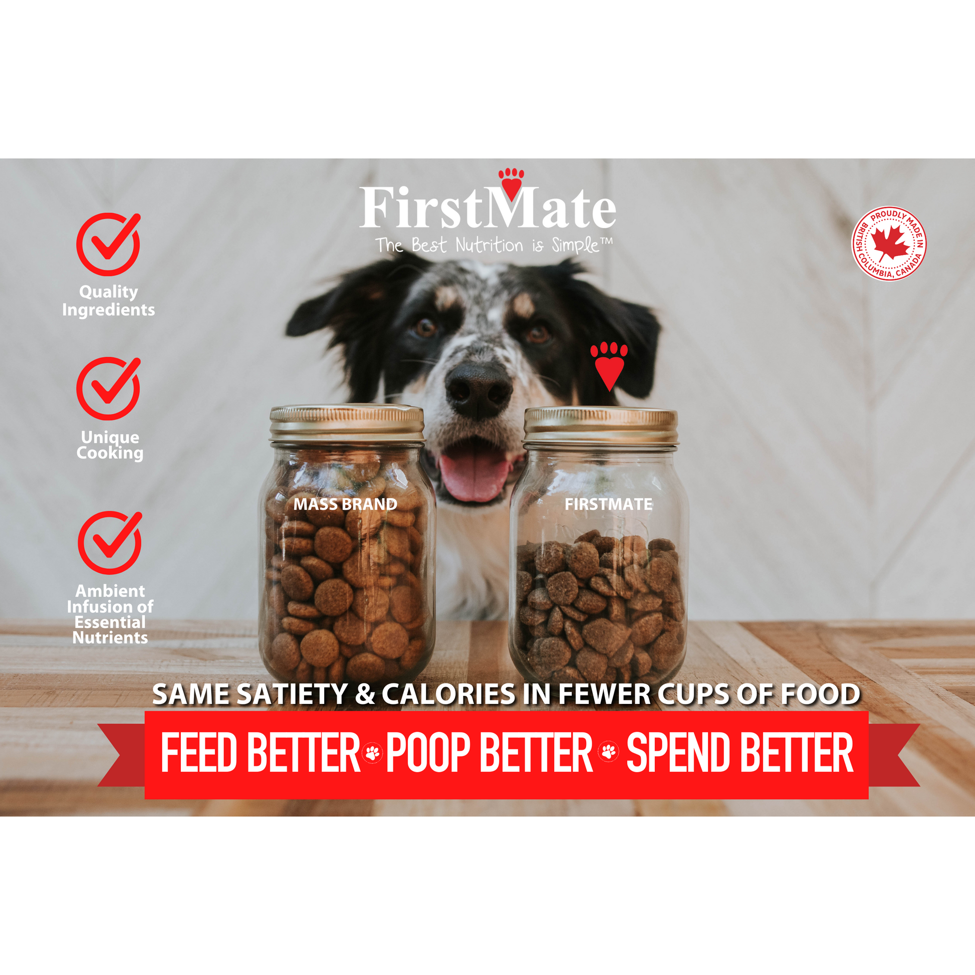FirstMate Grain Friendly High Performance For Active Dogs & Puppies  Dog Food  | PetMax Canada