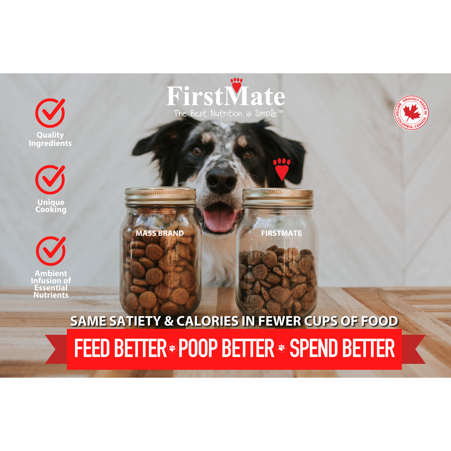 FirstMate Grain Friendly Cage-Free Duck & Oats Dog Food  Dog Food  | PetMax Canada
