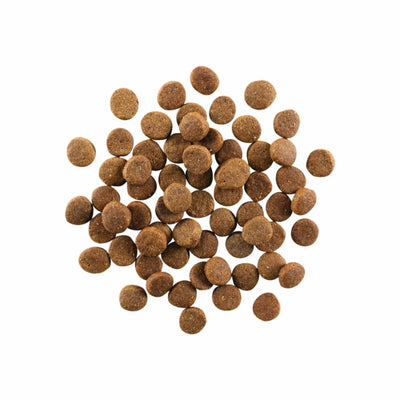 GO! CARNIVORE Grain Free Chicken, Turkey + Duck Puppy Recipe for dogs - 1.59 Kg - Dog Food - Go! - PetMax Canada