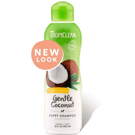 Tropiclean Gentle Coconut Shampoo  Grooming  | PetMax Canada