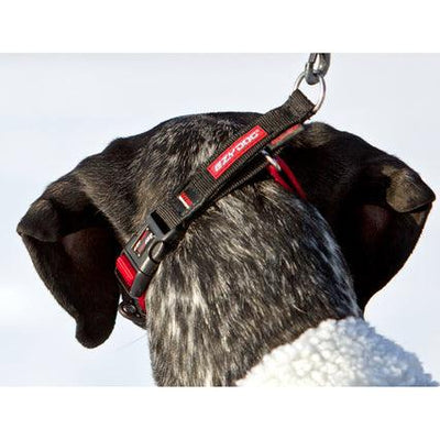 EZYDog Checkmate Dog Collar Red - Medium: 13" - 18" - Dog Collars - EZYDog - PetMax Canada