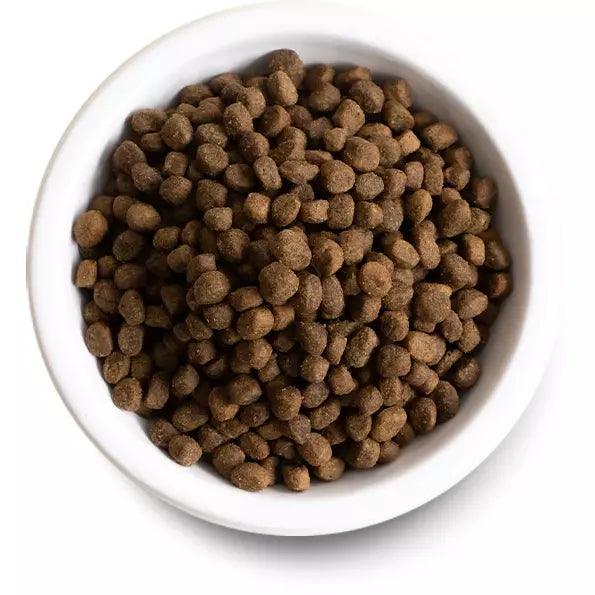 Open farm sales dry dog food