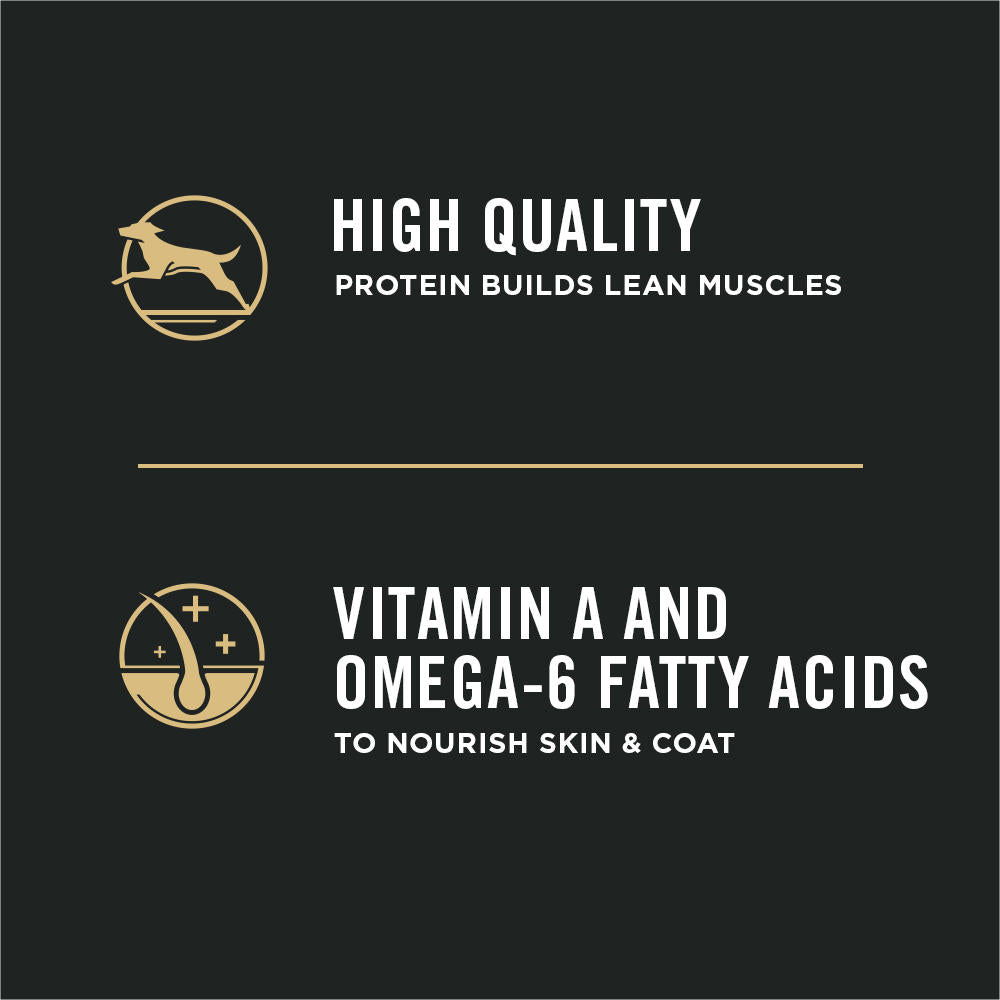 Purina Pro Plan Dry Puppy Food Focus Chicken & Rice Formula  Dog Food  | PetMax Canada