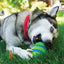 Kong Dog Toy Squeezz Goomz Football  Dog Toys  | PetMax Canada
