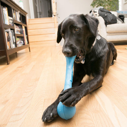 Kong Squeak Stix Dog Toy - Medium - Dog Toys - Kong - PetMax Canada