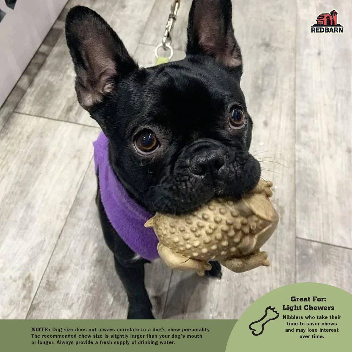 Red Barn Chew-A-Bulls Horned Toad Dog Treats  Natural Chews  | PetMax Canada