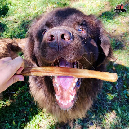 Red Barn Collagen Dog Treats Stick - Small - Natural Chews - Red Barn Pet Products - PetMax Canada