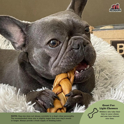 Red Barn Collagen Dog Treats Braid - 12" - Natural Chews - Red Barn Pet Products - PetMax Canada