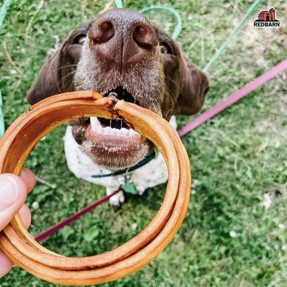 Red Barn Collagen Dog Treats Ring - 3" - Natural Chews - Red Barn Pet Products - PetMax Canada