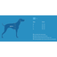 RC Dog Pace No Pull Harness Black - X-Small - Harnesses - RC Pet Products - PetMax Canada