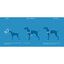 RC Dog Pace No Pull Harness Black - X-Small - Harnesses - RC Pet Products - PetMax Canada