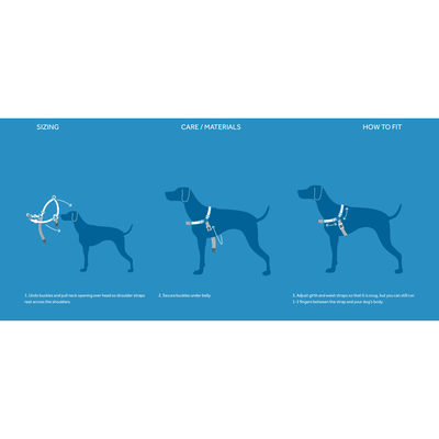 RC Dog Pace No Pull Harness Royal Blue - X-Small - Harnesses - RC Pet Products - PetMax Canada