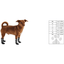 GF Pet Boots For Dogs All Terrain Black - X-Small - Boots - GF Pet - PetMax Canada