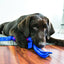 Kong Tugga Wubba Dog Toy  Dog Toys  | PetMax Canada