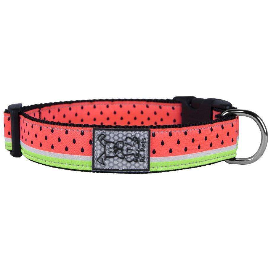 RC Dog Collar Watermelon  Dog Collars  | PetMax Canada