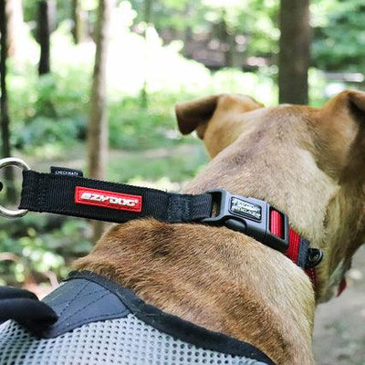 EZYDog Checkmate Dog Collar Red - Medium: 13" - 18" - Dog Collars - EZYDog - PetMax Canada