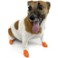 Pawz Dog Boots Orange / X-Small Boots Orange | PetMax Canada