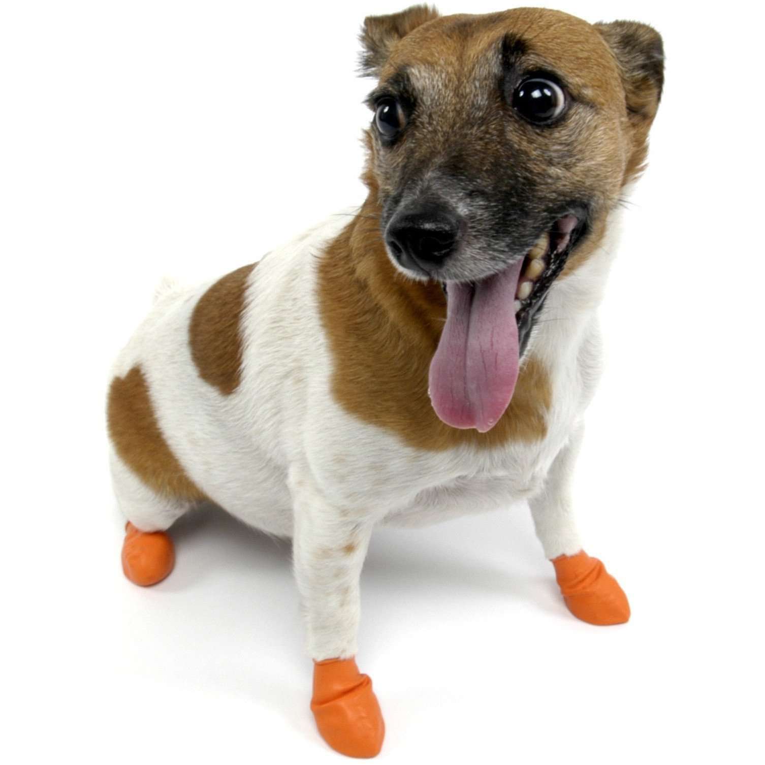 Pawz Dog Boots Orange / X-Small Boots Orange | PetMax Canada