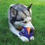 Kong Dog Toy Zig Wigz Elephant  Dog Toys  | PetMax Canada
